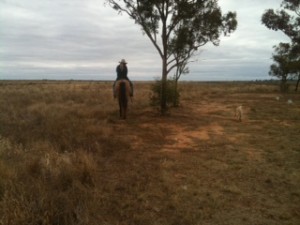 Esther on 'Meg' riding across the Hay Plains. 27.5.11