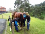 Group effort, Ez, joe and I getting horses ready.