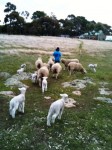 Joe and His little crew of mates