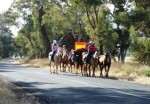 Leaving Yeoval with Pony Club Girls.