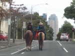 Melbourne Skyscrapers greet the Macleay river bushies.