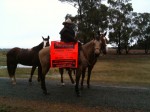 Seaforth out of West Wyalong