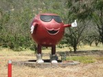 Awesome country full of ripening cherries-this is the Big Cherry out of Wangaratta