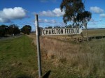 charlton  feedlot