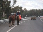 crossing murray river