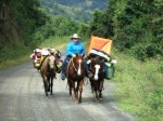 riding the big hill.
